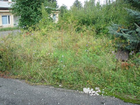 Foto 36